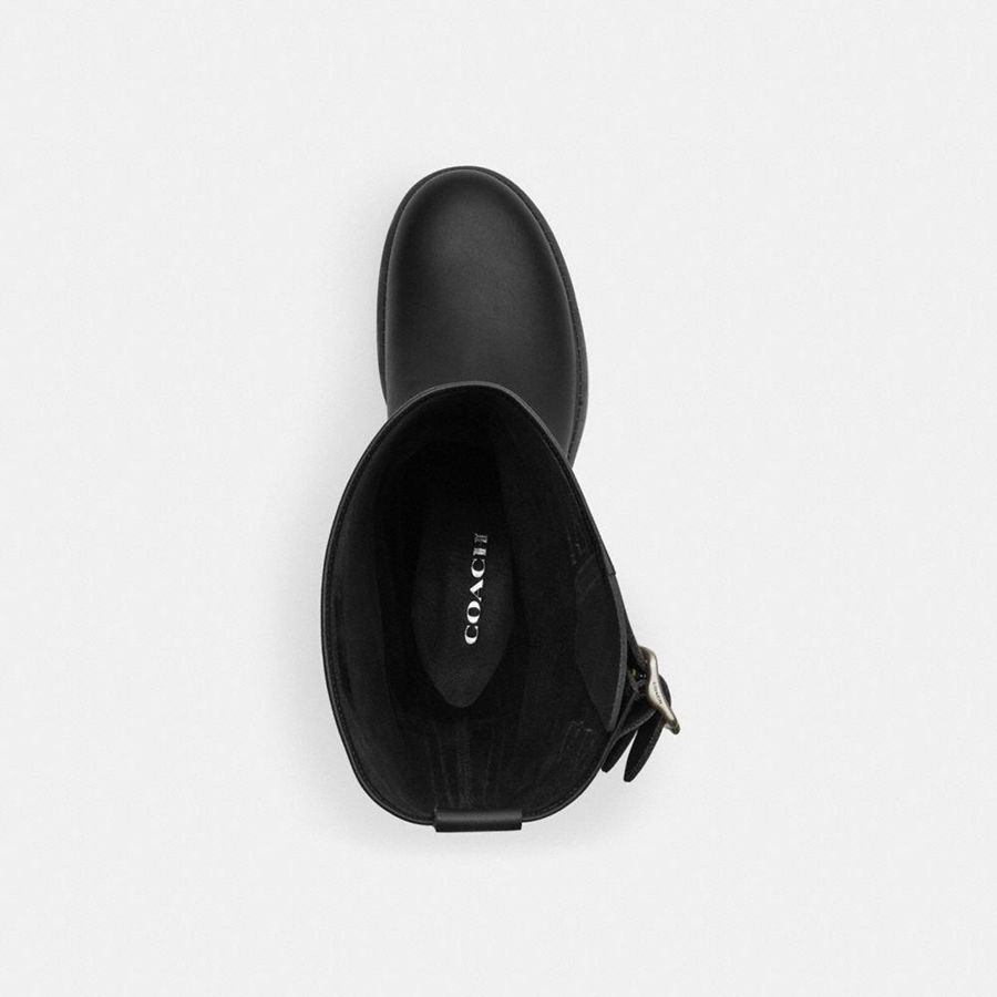 Botas COACH Daria Moto Mujer Negras | MLE-524037