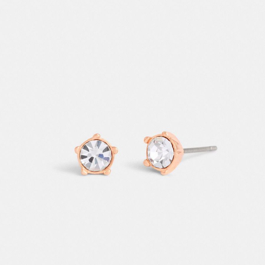 Joyería COACH Halo Tea Rose Stud Earrings Mujer Plateadas | SMJ-948021