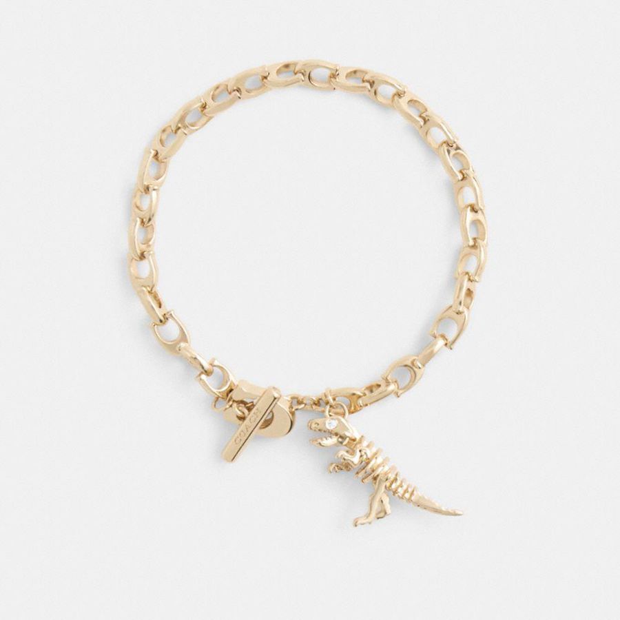 Joyería COACH Skeletal Rexy Signature Chain Bracelet Mujer Doradas | LGN-215874