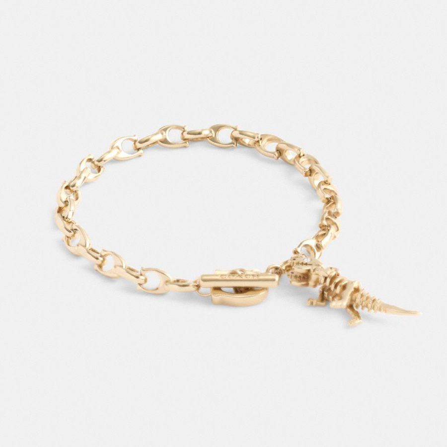 Joyería COACH Skeletal Rexy Signature Chain Bracelet Mujer Doradas | LGN-215874