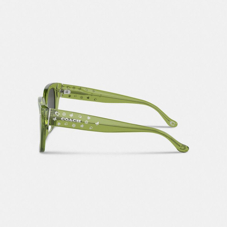 Lentes de Sol COACH Charms Oversized Square Mujer Verde | ZVC-105387