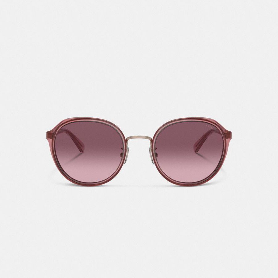 Lentes de Sol COACH Hangtag Geometric Round Mujer Rosas | UPO-570692