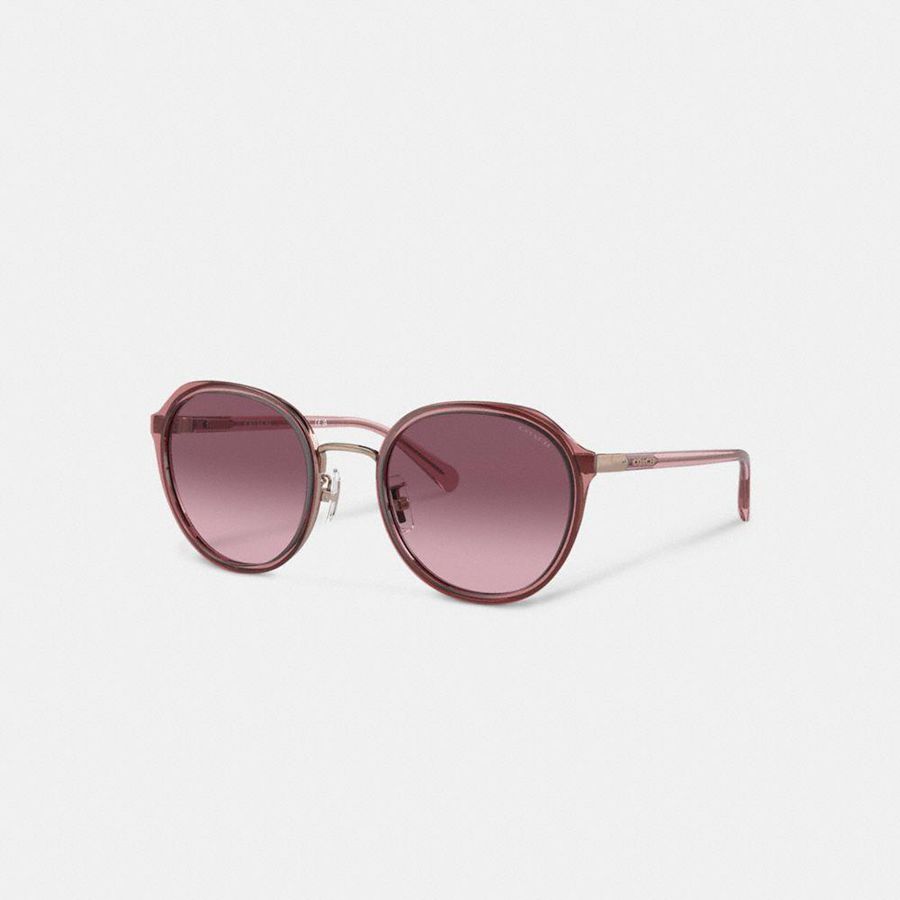 Lentes de Sol COACH Hangtag Geometric Round Mujer Rosas | UPO-570692