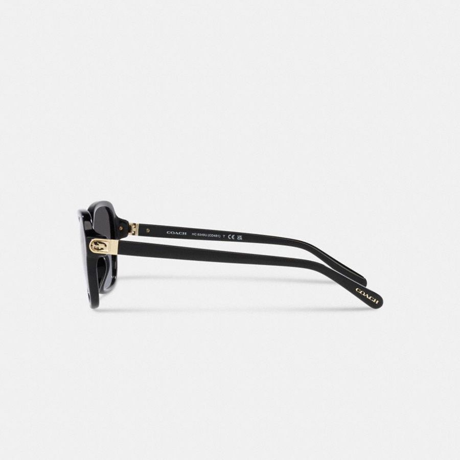 Lentes de Sol COACH Hinged Horse And Carriage Square Mujer Negras | XMY-645207