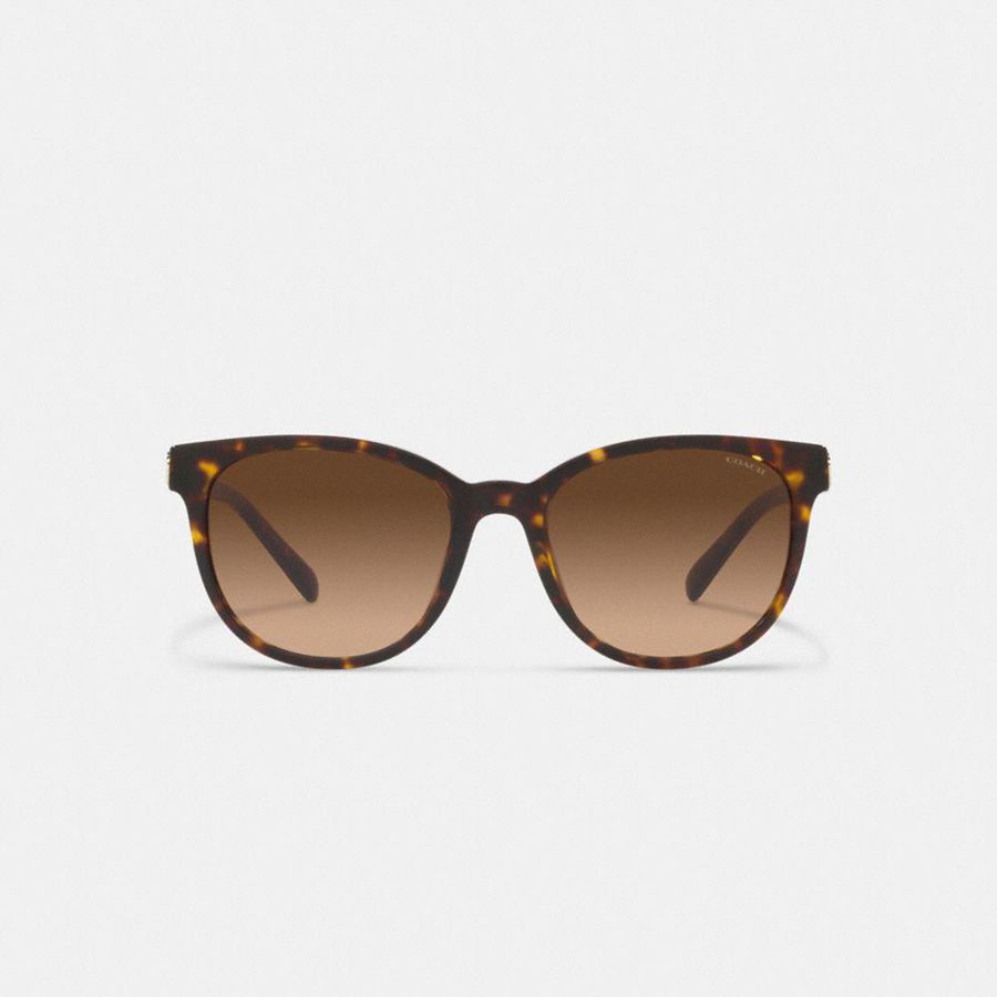 Lentes de Sol COACH Horse And Carriage Round Mujer Marrones | PRA-089652