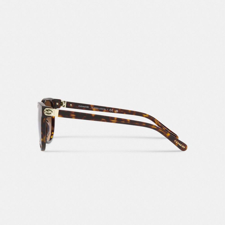Lentes de Sol COACH Horse And Carriage Round Mujer Marrones | PRA-089652