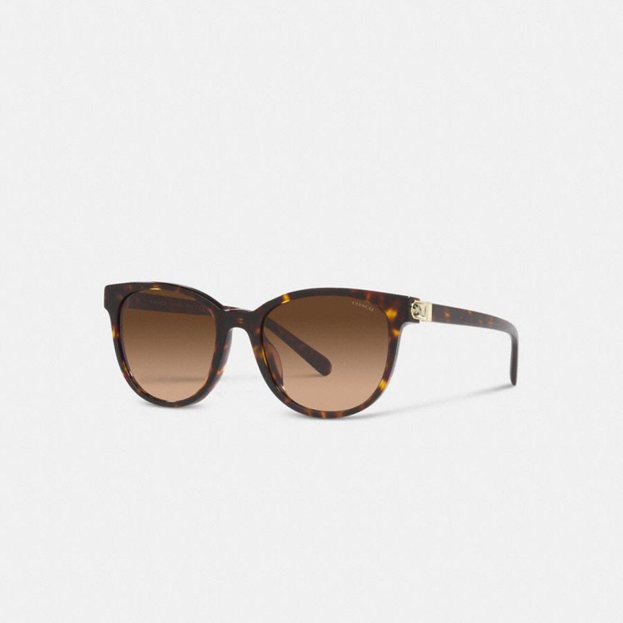Lentes de Sol COACH Horse And Carriage Round Mujer Marrones | PRA-089652