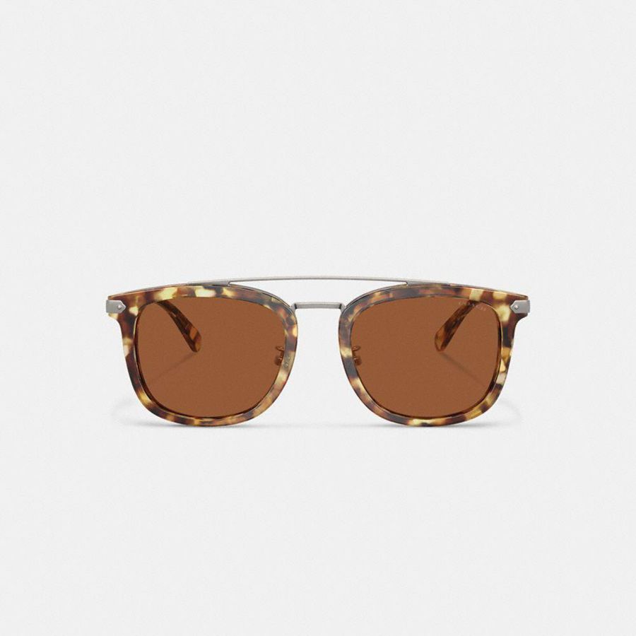 Lentes de Sol COACH Wrap Around Hangtag Browbar Hombre Marrones | JEZ-491308