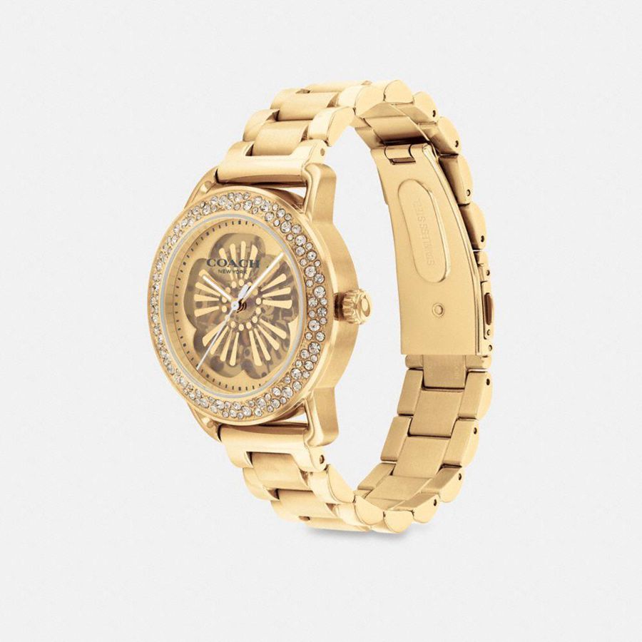 Relojes COACH Cruiser Automatic, 37 Mm Mujer Doradas | KXF-086931